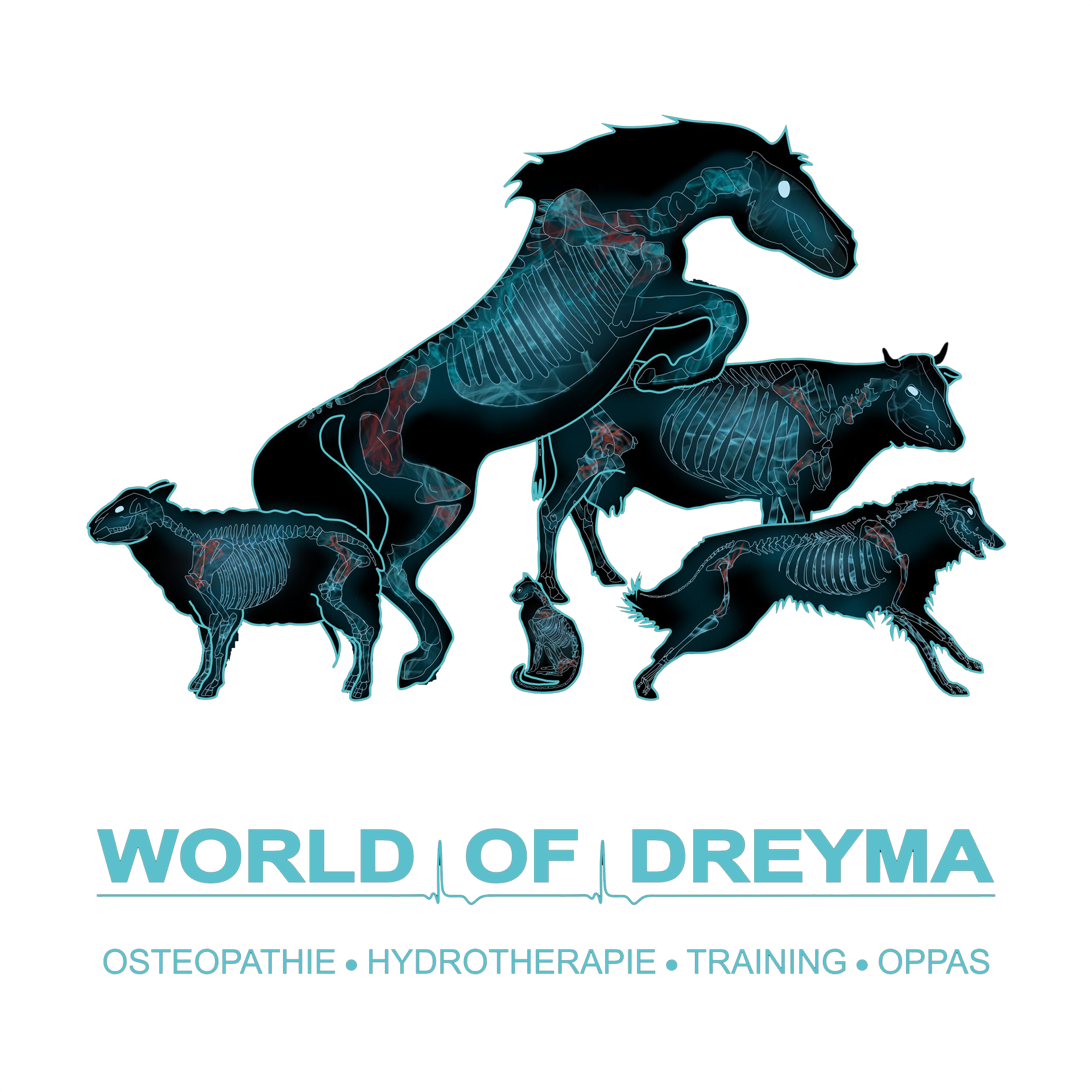 World of Dreyma
