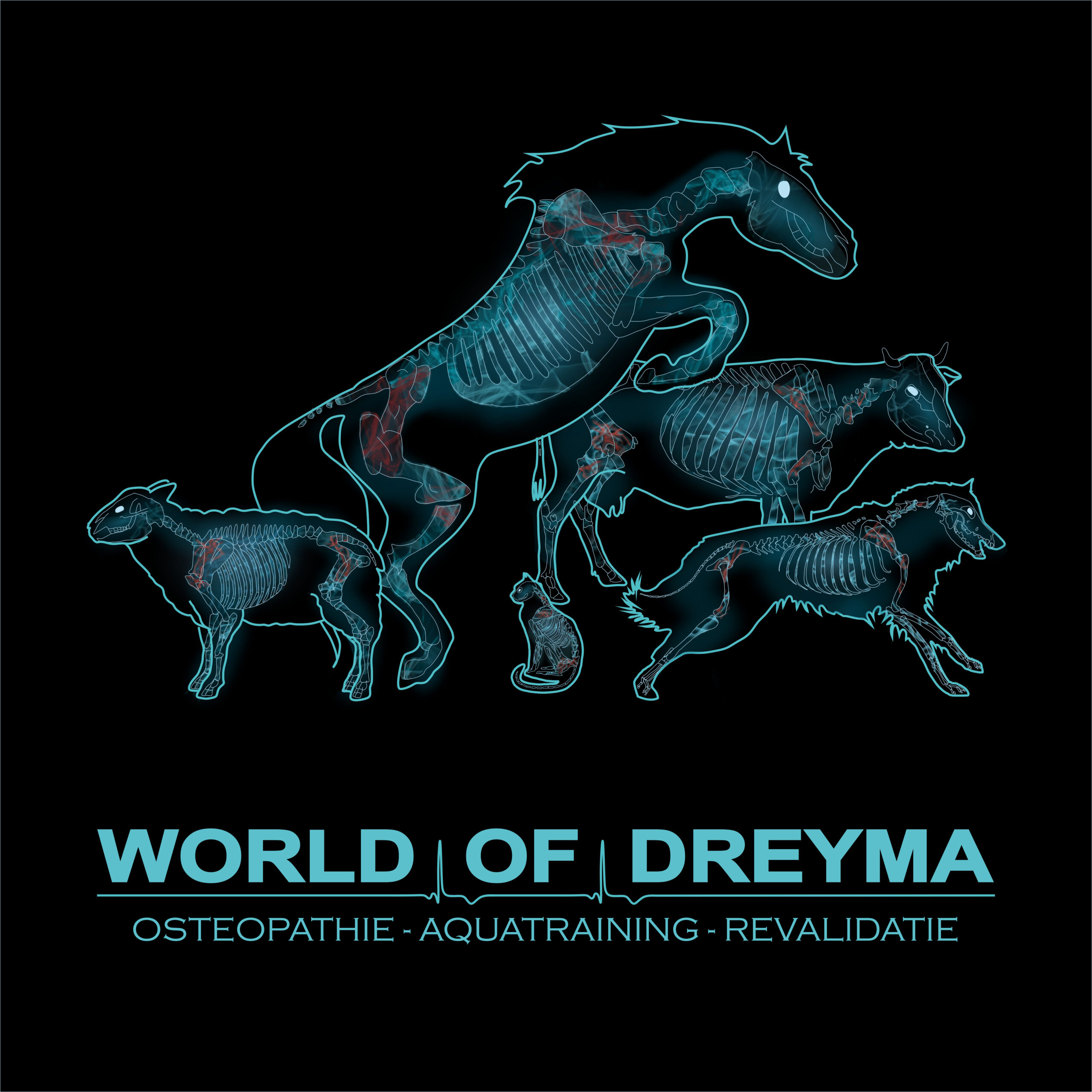 World of Dreyma