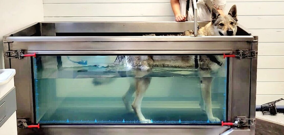 396467444_827502546044441_2677851018557771696_n