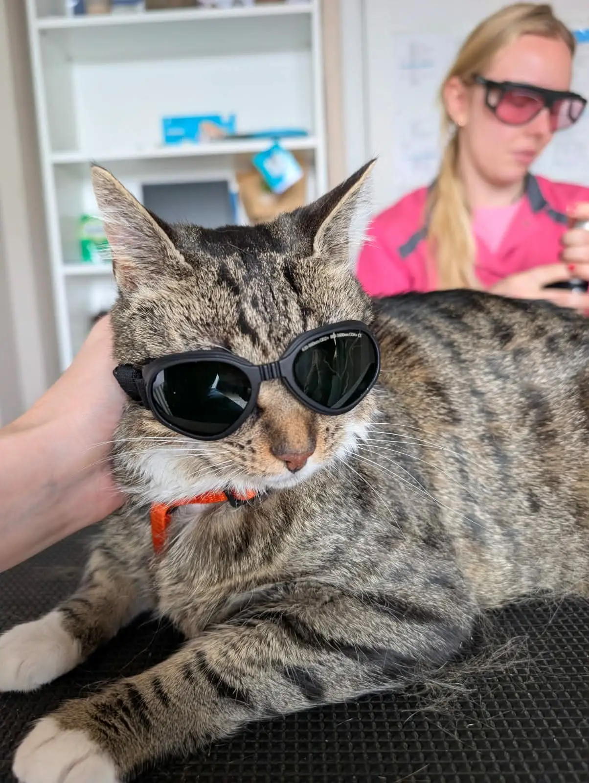 3b558aea-ad2f-4328-9f7b-5811165ea90f