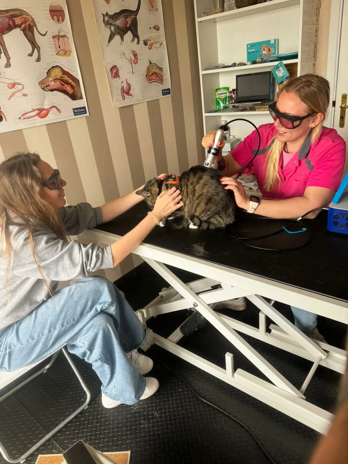 77f005a2-c4c2-43fb-86a1-7d3fac59c6f9