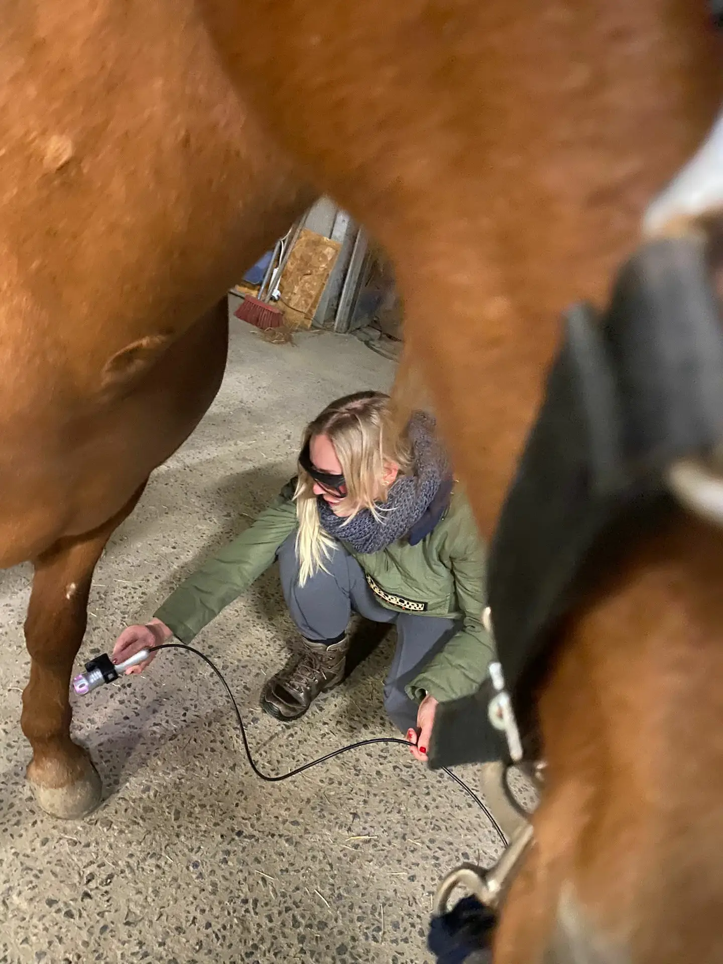 81d87e85-5bf7-49bb-a08e-b06a6085f980