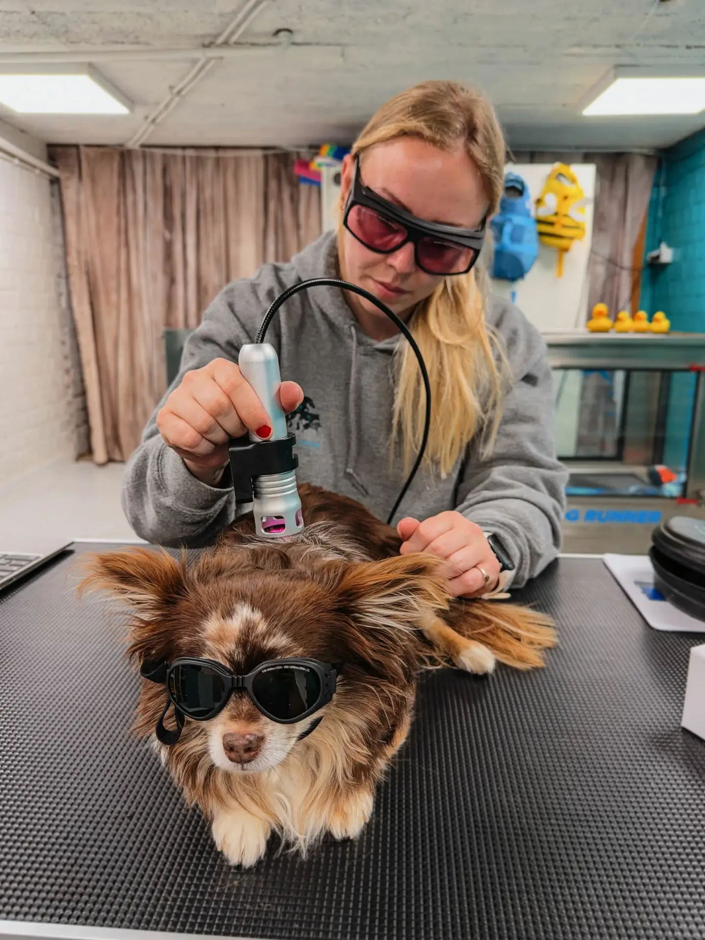 b866ed5a-3d07-49bc-9563-3535da699ee6