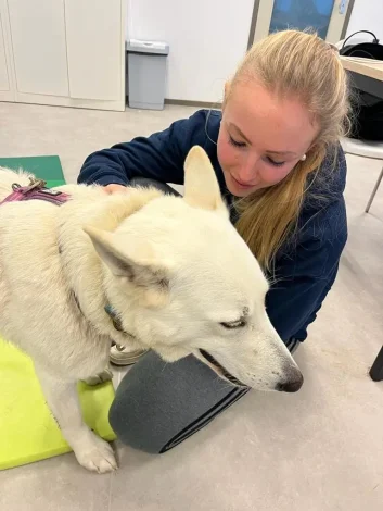 327931565_930547844991127_400556152321120681_n-1